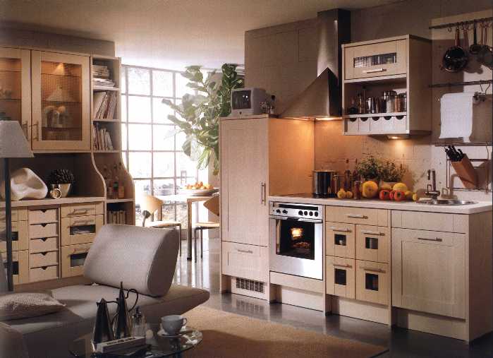 Робоча зона кухні:ідеї дизайну і планування