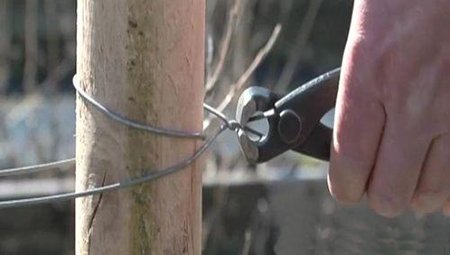 Плетений паркан своїми руками гілок, дощок або ПВХ лози