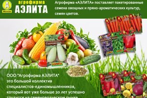 Агрофірма Аеліта — один з гігантів на ринку насіння і садивного матеріалу