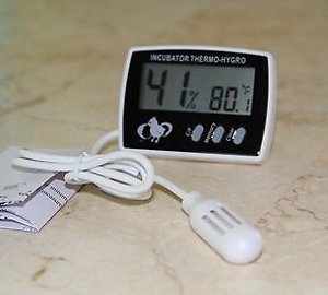 Як зробити інкубатор в домашніх умовах: схеми та можливі варіанти, покрокова інструкція