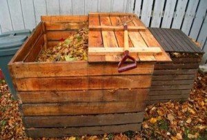 Сама солодка морква: огляд кращих сортів і відео інструкція підготовки насіння до висадки Сама солодка морква: огляд кращих сортів і відео інструкція підготовки насіння до висадки