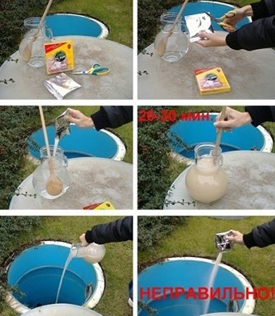 Живі бактерії для септиків і вигрібних ям: види і характеристики