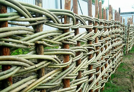 Плетений паркан своїми руками гілок, дощок або ПВХ лози