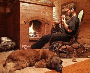 Як вибрати опалювальні дровяні печі каміни для дачі: фото, відгуки