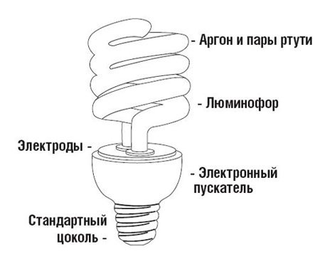 Як вибрати енергозберігаючі лампи для дому: види і характеристики