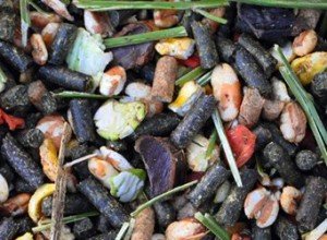 Чим і як правильно годувати кроликів в домашніх умовах: види кормів, правила та особливості організації харчування