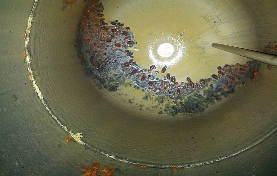 Потрібно зливати воду з водонагрівача і як злити правильно