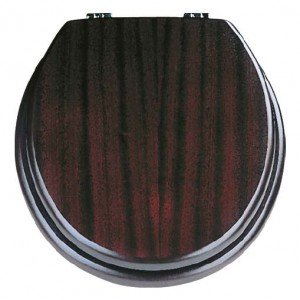 Кришка для унітазу: фото, як вибрати і ціни