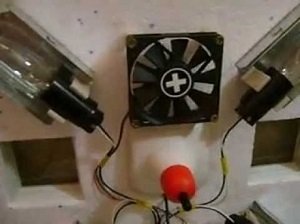 Автоматичний інкубатор для яєць своїми руками: схеми і креслення, покрокова відео інструкція