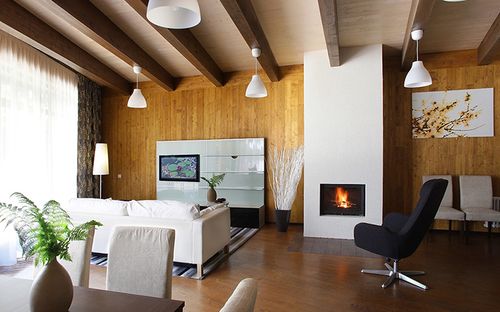 Камін Ілля: фото в інтерєрі, відгуки