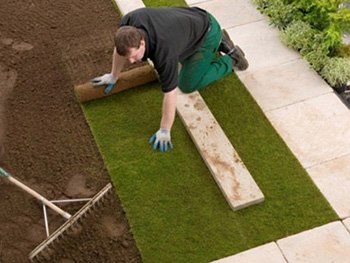 Укладання рулонного газону своїми руками: технологія робіт