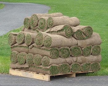 Укладання рулонного газону своїми руками: технологія робіт