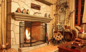 Рекомендації по вибору дров для каміна: види дерева