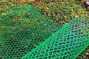 Як позбутися від крота на городі: боротьба з допомогою народних засобів, відлякувачі кротів, ефективні методи, відео