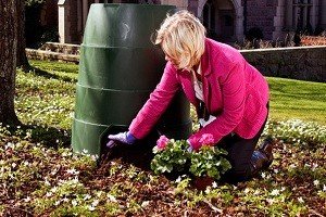 Як прискорити дозрівання компосту на дачі: правильний склад для швидкого приготування і огляд різних прискорювачів