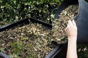 Компостна купа своїми руками: вибір місця, компоненти та етапи приготування