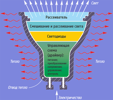 Як вибрати енергозберігаючі лампи для дому: види і характеристики