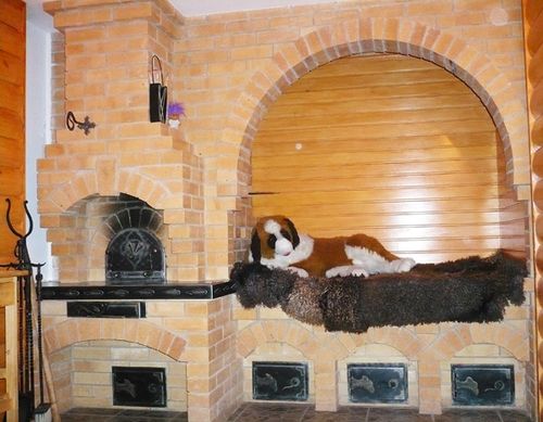 Каміни російського виробництва: російські виробники, види