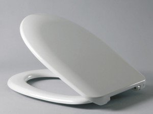 Кришка для унітазу: фото, як вибрати і ціни