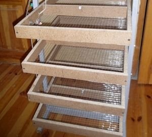 Як зробити інкубатор в домашніх умовах: схеми та можливі варіанти, покрокова інструкція