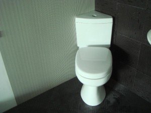 Кутовий унітаз: фото, як вибрати, ціни і установка