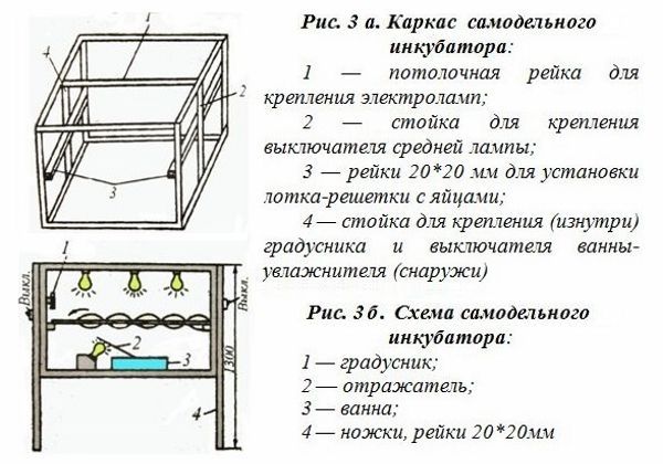 Як зробити інкубатор в домашніх умовах: схеми та можливі варіанти, покрокова інструкція