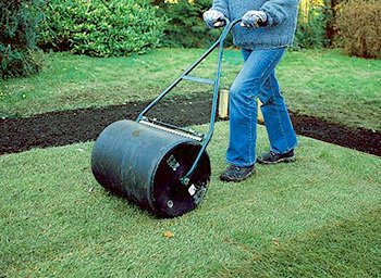 Укладання рулонного газону своїми руками: технологія робіт