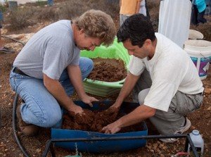 Яку суміш вибрати для печей і камінів: відгуки про Теракот і Ємеля