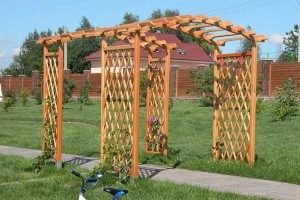Шпалери для витких рослин своїми руками: види, розміри і форми, етапи робіт, фото і відео