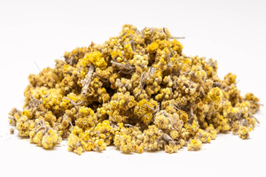 Безсмертник: опис, вирощування та збирання для сушіння