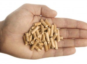 Правильне годування кроликів комбікормом: добова норма, особливості раціону і відеоінструкція Правильне годування кроликів комбікормом: добова норма, особливості раціону і відеоінструкція