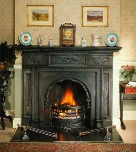 Як вибрати опалювальні дровяні печі каміни для дачі: фото, відгуки