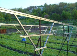 Опори, підставки і арки під вюнкі рослини: покроковий майстер клас по виготовленню своїми руками