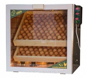 Інкубатор з автоматичним переворотом яєць: види, будова, технічні характеристики