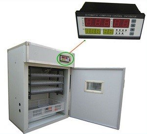 Автоматичний інкубатор для яєць: види, будова, технічні характеристики