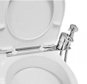 Унітаз з функцією біде (приставка, насадка, вбудоване електронне біде)