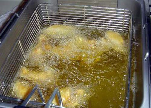 Виробництво біодизеля своїми руками в домашніх умовах Виробництво біодизеля своїми руками в домашніх умовах