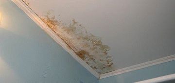 Усунення дефектів штукатурки