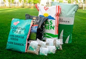 Як вибрати газонну траву: огляд газонних сумішей, поради дачників, фото
