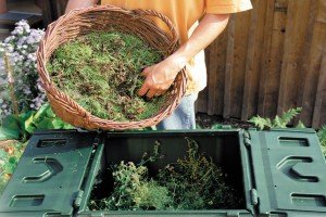Види і назви бурянів на городі: знайомимося з особливостями бурянистих трав і приймаємо необхідні заходи