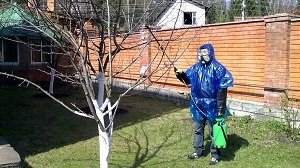 Бордоська суміш: склад, застосування, покрокова інструкція з приготування