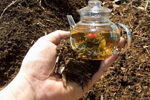 Аэрированный компостний чай: технологія приготування методом Геннадія Распопова, поради досвідченого садівника