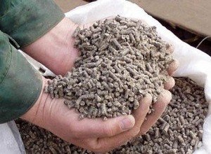 Основні аспекти промислового розведення кролів: концепція бізнесу і умови утримання