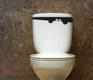 Наклейки на унітаз своїми руками: вибір, обклеювання та фото