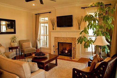 Фото камінів в інтерєрі квартири: дизайн вітальні з каміном в приватному будинку Фото камінів в інтерєрі квартири: дизайн вітальні з каміном в приватному будинку