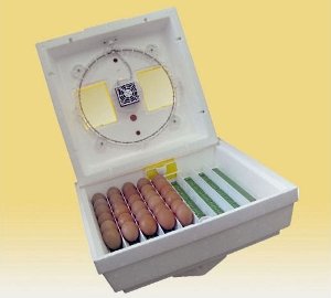 Інкубатор з автоматичним переворотом яєць: види, будова, технічні характеристики