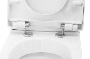 Кришка для унітазу: фото, як вибрати і ціни