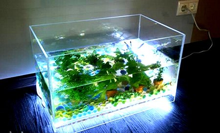 Світлодіодні лампи для акваріума: як зробити своїми руками