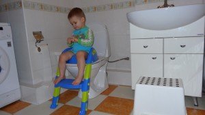 Дитяча накладка на унітаз (сидіння): види, фото та рекомендації вибору