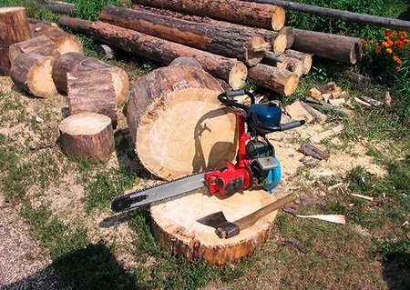 Як вибрати бензопилу для дому та дачі